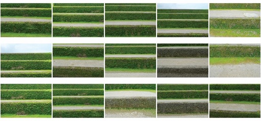 [13460022] Green
