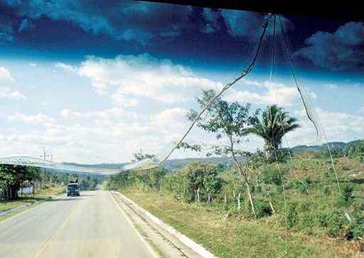 [13830005] On the road, Guatemala, El Remate, 06.13.2013