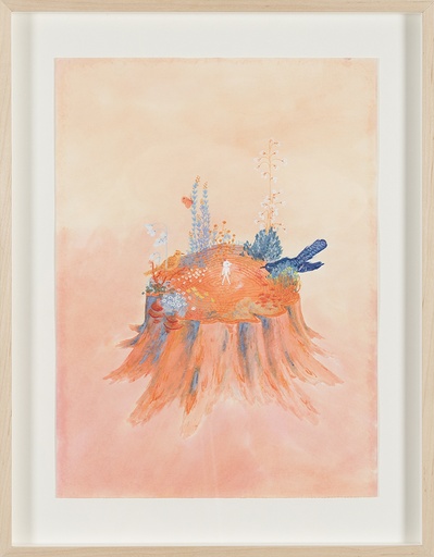 [13840036] Microcosmos