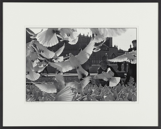 [14160089] Mazar-i-Sharif, Afghanistan, 1996. Witte duiven bij de blauwe moskee van Mazar-i-Sharif