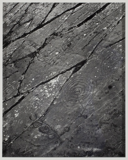 [14190007] Drops