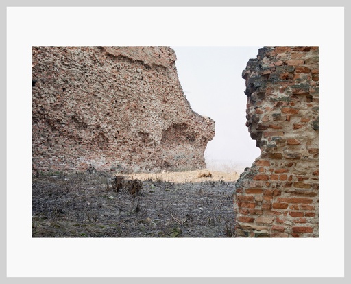 [14200007] The road to my father 7