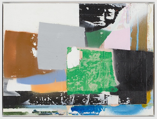 [14250041] De afgelegde huid V