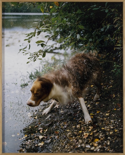 [14400010] Zutendaal, september 2019 II