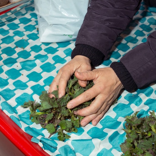 [14410003] Those who eat fish from the cyanide lake improve their sex life 3