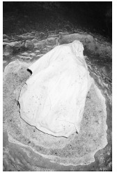 [14510001] Cave I '17