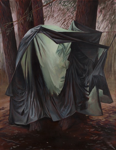 [14670023] Black & Green Shelter