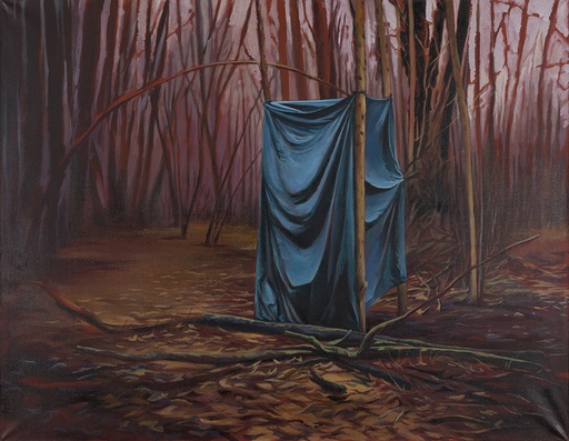 [14670024] Blue & Red Shelter