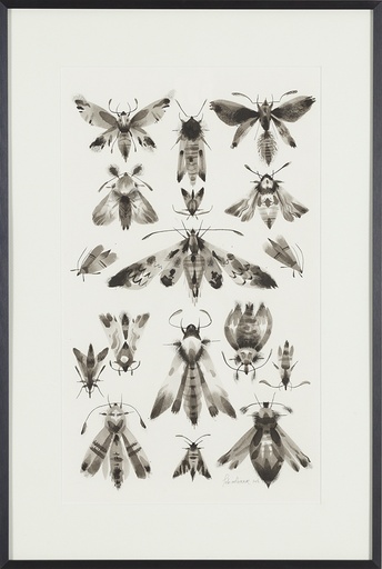 [14870006] Night dancers