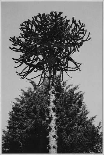 [14900003] The coming (1)