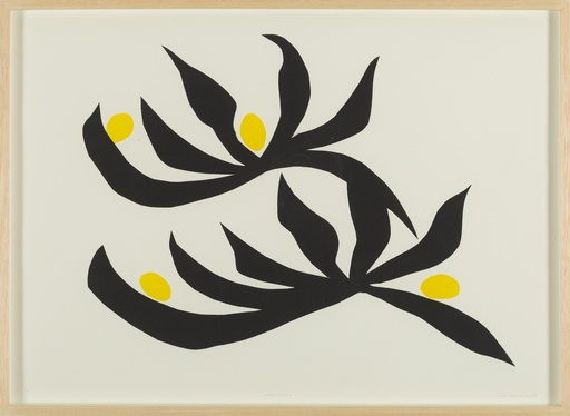 [14940010] Welwitchia