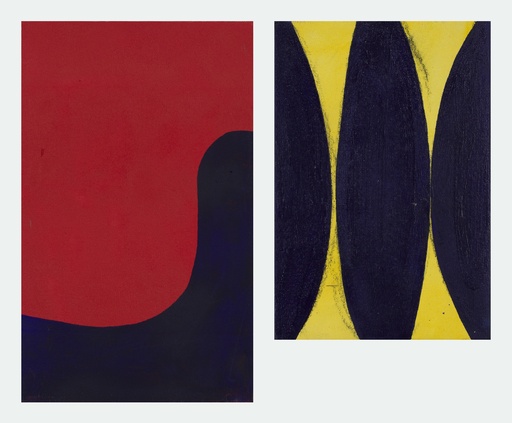 [15030009] My horse in the dark, Hotdog (tweeluik)