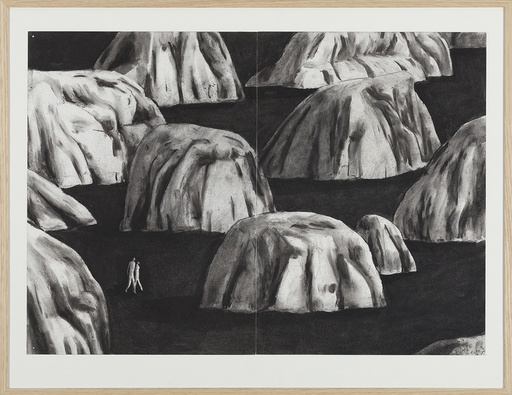 [15370012] Selkman gebergte (Papagonië)