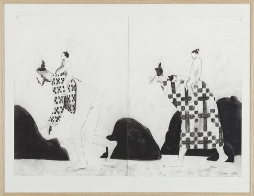 [15370013] Dragen (Papagonië)