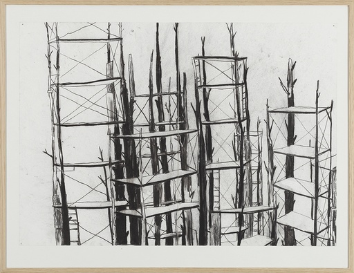 [15370014] Stelling (Papagonië)