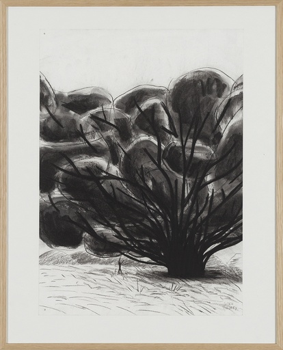 [15370015] In de kloof (Papagonië)