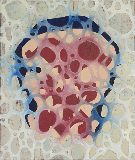 [12350015] OV schedel 01