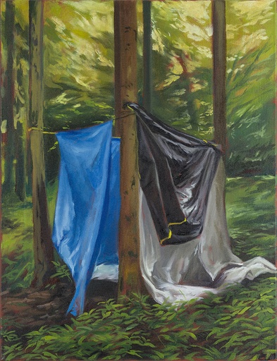 [14670044] BLACK, BLUE & WHITE SHELTER