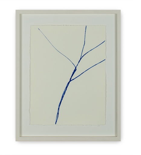 [07490116] Nerven 1/1