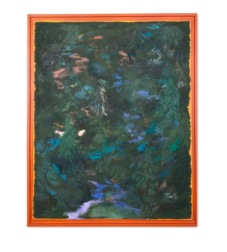 [14300026] Geen hand voor de ogen te zien…