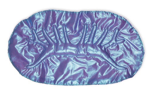 [15690005] Symbol of the hopeful martyrs