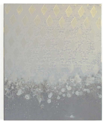 [14950030] The Silent Majority