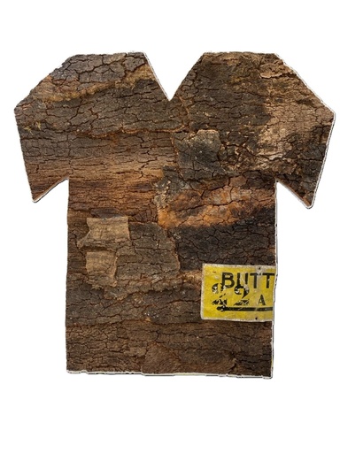 [15870003] Shirt proposal 2 for the World Cup of Trees