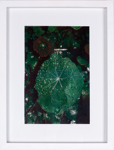 [15080007] Thank you rain 1