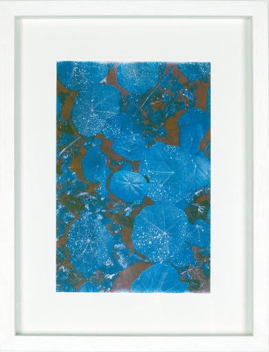 [15080008] Thank you rain 2