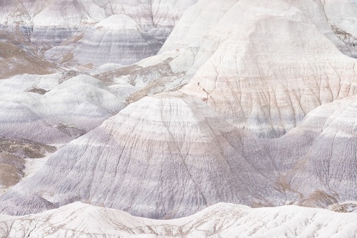 [15920016] Painted Desert, Arizona