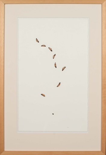 [06120053] Geboortelied voor een grove den